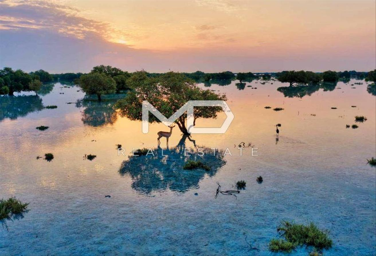 Single Row | Huge Plot | Rare Opportunity – Ain Al Maha, Jubail Island – MD-S-124928 Single Row | Huge Plot | Rare Opportunity - Ain Al Maha, Jubail Island - MD-S-124928