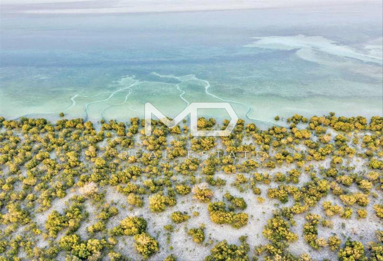 Single Row | Huge Plot | Rare Opportunity – Ain Al Maha, Jubail Island – MD-S-124928 Single Row | Huge Plot | Rare Opportunity - Ain Al Maha, Jubail Island - MD-S-124928